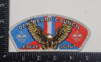174900-Metallic Silver Dan Beard Council #438
