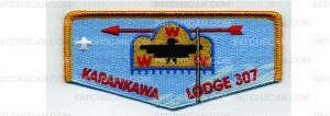 Patch Scan of NOAC Flap (PO 101877)