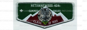 Patch Scan of Summit Award Flap (PO 101778)