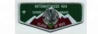 Summit Award Flap (PO 101778) Muskingum Valley Council #467
