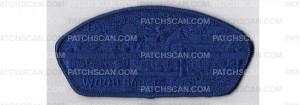 Patch Scan of Wood Badge CSP (PO 100861)