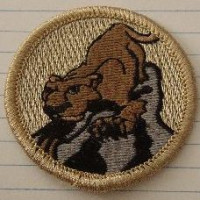 X159378A (Patrol Patch - Cougar) ClassB