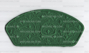 Patch Scan of 193243 - green ghosted