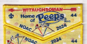 Patch Scan of Minsi Trails Council NOAC Set