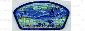 Patch Scan of 2025 Friends of Scouting CSP (PO 102680)