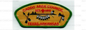 Patch Scan of  CSP (PO 85779Br1)