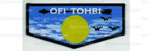 Patch Scan of 2024 NOAC Flap #2 (PO 102245)