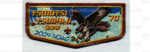 Patch Scan of NOAC Flap 2024 (PO 102218)