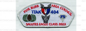 Patch Scan of Eagle Class 2023 CSP (PO 101947)