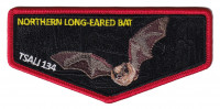 TSALI 2027 Flap (N Long-Eared Bat) Daniel Boone Council #414
