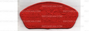 Patch Scan of Wood Badge CSP (PO 100861)