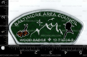 Patch Scan of 173546-4 Bead