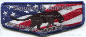 Patch Scan of 473808 A Scouting America 