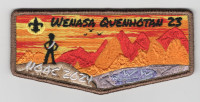 Wenasa Quenhotan Lodge NOAC 2024 Mountain Flap W.D. Boyce Council #138