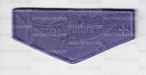Patch Scan of Chippewa Valley Council Jamboree Set