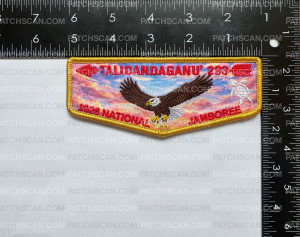 Patch Scan of CAC (TN) 26 Jambo OA Flap Turtle