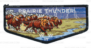 Patch Scan of Prairie Thunder flap