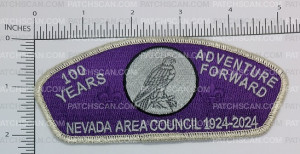 Patch Scan of NAC Silver Dollar CSP