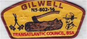 Patch Scan of Gilwell Yellow Fill