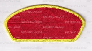 Patch Scan of NYLT CSP