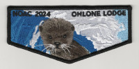 Ohlone Lodge NOAC 2024 surfing otter flap Pacific Skyline Council #31