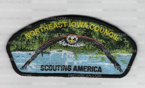 Patch Scan of Northeast Iowa Council CSP