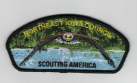 Northeast Iowa Council CSP Northeast Iowa Council #178