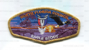 Patch Scan of NFC NESA PATCH