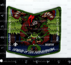 Patch Scan of 164669-Pocket