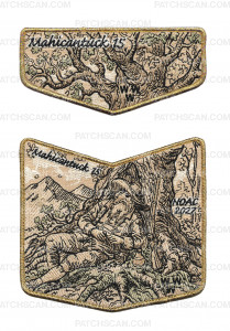 Patch Scan of 194167 - metallic gold pocket piece