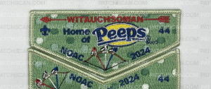 Patch Scan of Minsi Trails Council NOAC Set