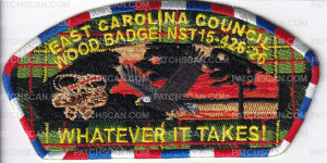 Patch Scan of ECC Woodbade