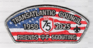 Patch Scan of 179147-Silver