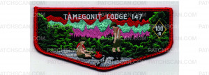 Patch Scan of Northern Lights Flap (PO 103541)