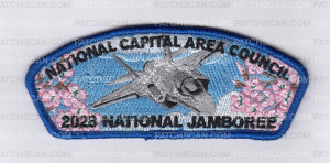 Patch Scan of National Capital Area Council