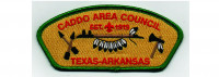  CSP (PO 85779B) Caddo Area Council #584