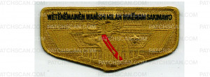 Patch Scan of Lodge Chief/Advisor Appreciation Flaps (PO 102176)