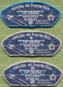 Patch Scan of 473848- Top Course Wood Badge 