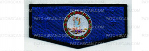 Patch Scan of Virginia Flap (PO 101997)