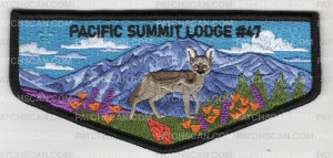 Patch Scan of Pacific Summit Lodge 47