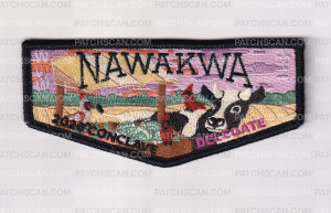Patch Scan of Nawakwa Lodge 2026 Delagates Flaps