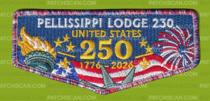 Patch Scan of Pellissippi Lodge 230 250 flap